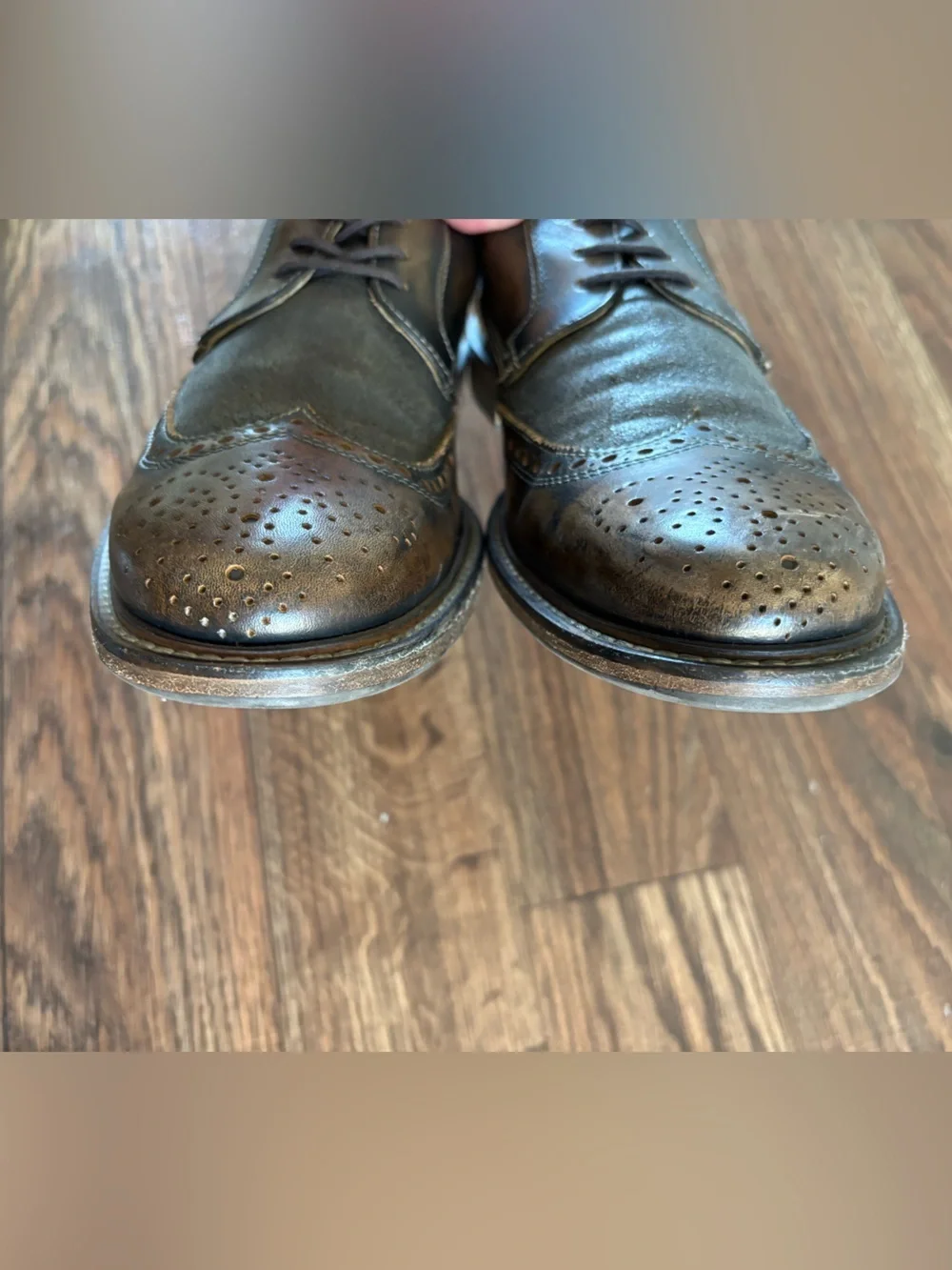 John Varvatos College Distressed Leather Wingtip Derby Oxfords 9.5
